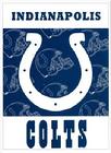 INDIANAPOLIS COLTS VERTICAL BANNER FLAG