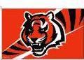 Clatskine Oregon Tigers flag