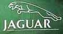 Jaguar green flag