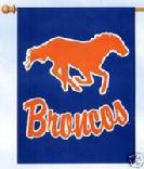 Broncos vertical flag