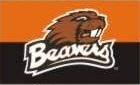 Beaverton Beavers Flag
