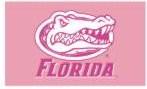 Florida U pink flag