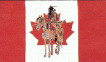Canadian Indian Horse