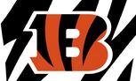 CinBengalsBWflag