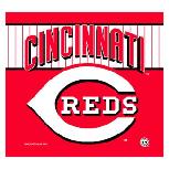 Cincinnati Reds Two sided Car Flag