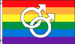 Rainbow Male symbols flag