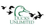 Ducks Un flying flag