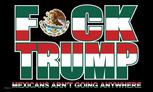 Mexico F Trump flag 
