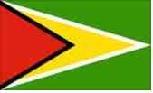 Guyana,flag