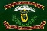 IRISH BRIDGE flag
