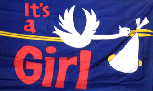 IT'S A GIRL 3'X5' FLAG 3