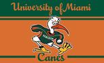 Hurricanes old school flag