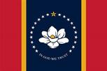 Mississippi Magnolia flag