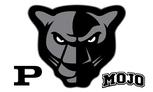 Periman Panthers Flag