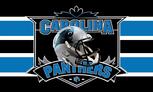 Carolina Panthers helmet flag