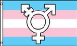 Transexual flag