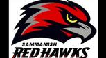 Samamish RedHawks flag