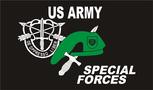 Special Forces US Army flag