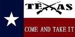 Crossed rifles Texas Come and Take It flag
