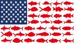 usa fishing flag