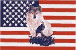 US Flag background with a Wolf and Eagle. 3' X 5' with reinforced edge