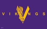 VikingsPurpleYellowsymbolflag