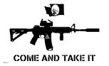 WashingtonStateComeAndTakeItFlag