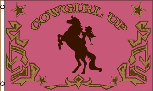 COWGIRL UP PINK FLAG 3X5 FT