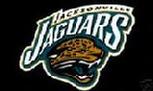 Jacksonville NFL Jaguars flag