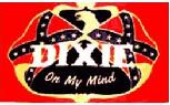 Dixie On My Mind flag