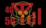 4g5gSkullBones flag