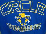 Circle High School Thunderbirds flag