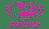 Odessa Ducks Delaware flag