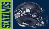 Seahawks Helemet flag