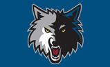 Minnesota Timber Wolves flag