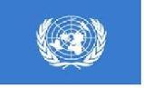 UN NATIONS FLAG 3X5 FT