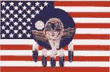 US Flag background with a Wolf Mandella