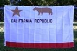 Historical California flag 