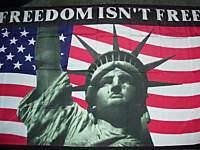 Freedon Isnt Free flag