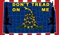 Don't Tread On Me Kansas flag
