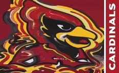 cardinals painted flag 