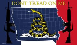 Dont Tread On Me Iowa flag