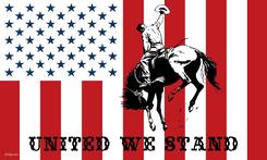 United We Stand civil flag