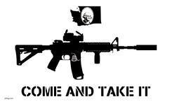WashingtonComeAndTakeItflag