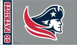 Go Pats N E 3' x 5' flag