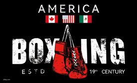 AmericanBoxing flag