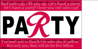 Red Solo Cup Party flag