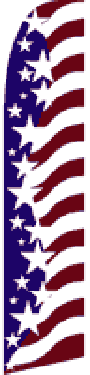USA SWOOPER FLAG STAR SPANGLED